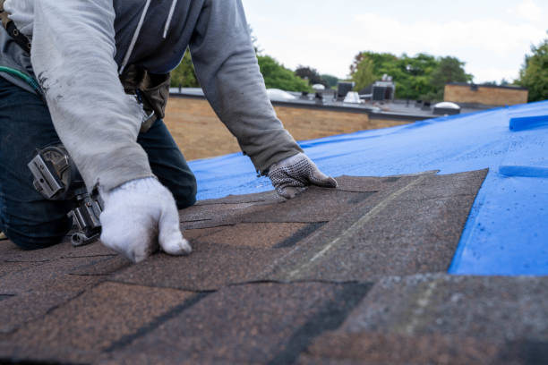 Best Roof Leak Repair  in Lmar, DE