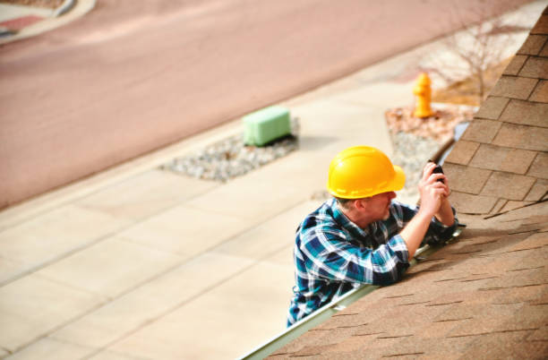 Best Roof Repair Services  in Lmar, DE