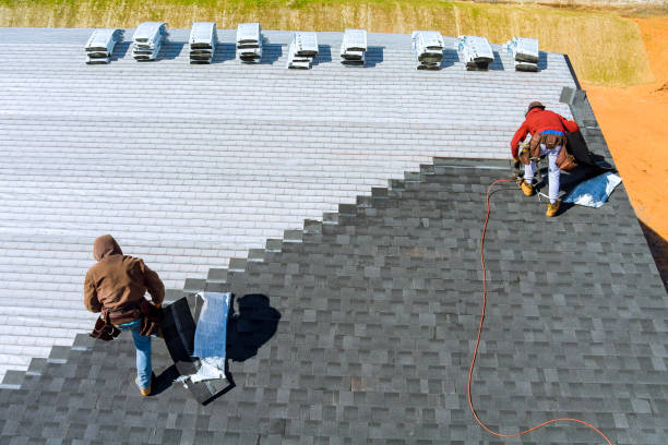 Best Roof Restoration Services  in Lmar, DE