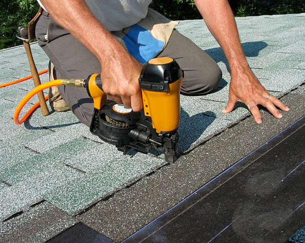 Best Storm Damage Roof Repair  in Lmar, DE