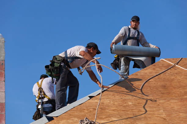 Best Metal Roofing Contractor  in Lmar, DE