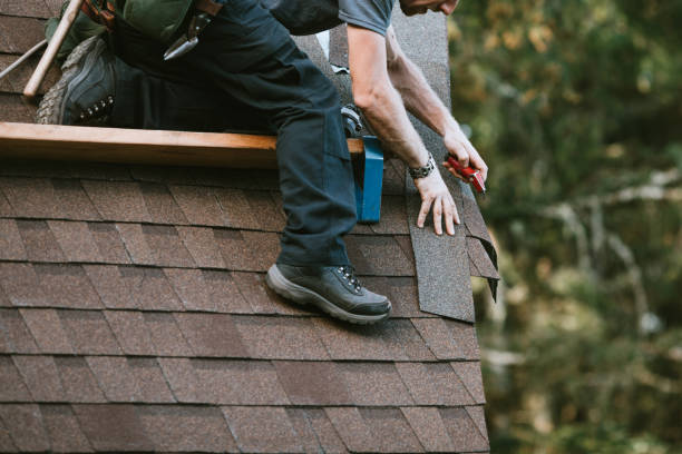 Roof Installation Near Me in Delmar, DE